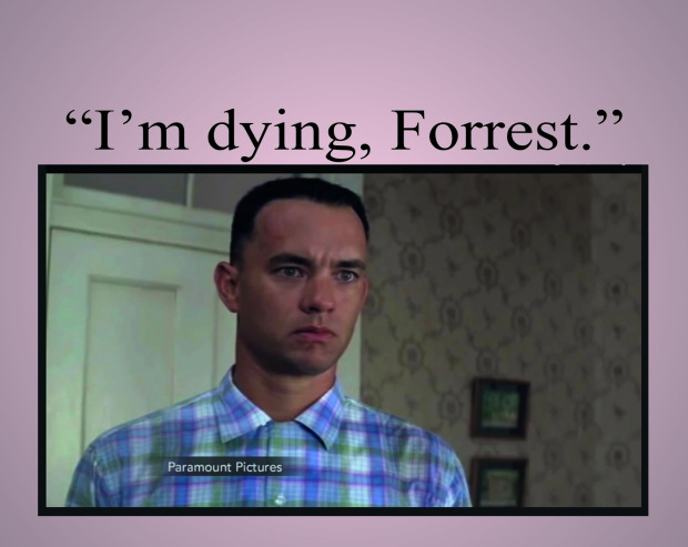 forrest